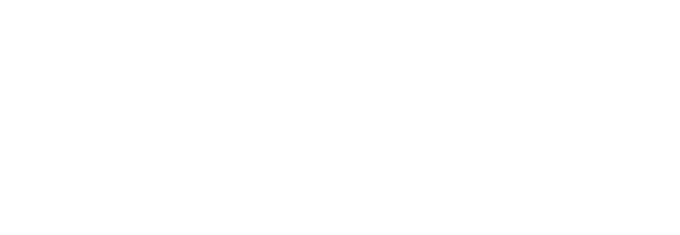 Carzy_ai-LOGOWIT Carzy.ai